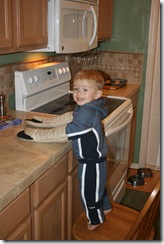 Picture 014