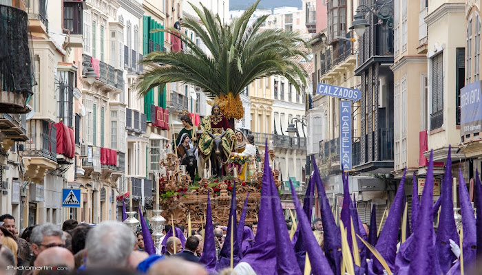 LA POLLINICA DE MÁLAGA [I]