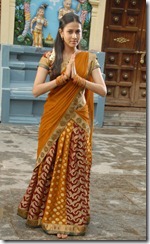 panchi_bora_spicy1