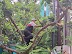 Kerja Bakti
