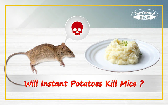 will-instant-potatoes-kill-mice