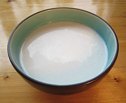 Healthy Coconut Milk | Philippine Gata