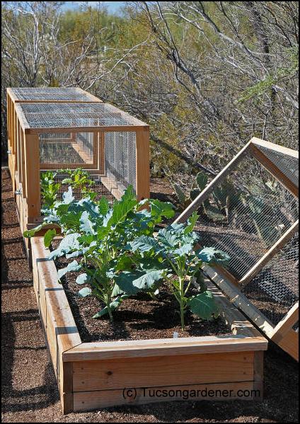 Marvelous Backyard Vegetable Garden Ideas