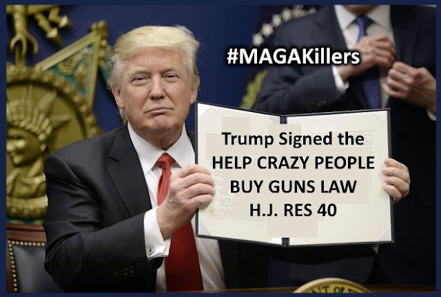 Trump Signed the Help Crazy People Buy Guns Law HJ Res 40