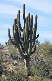 P1120157