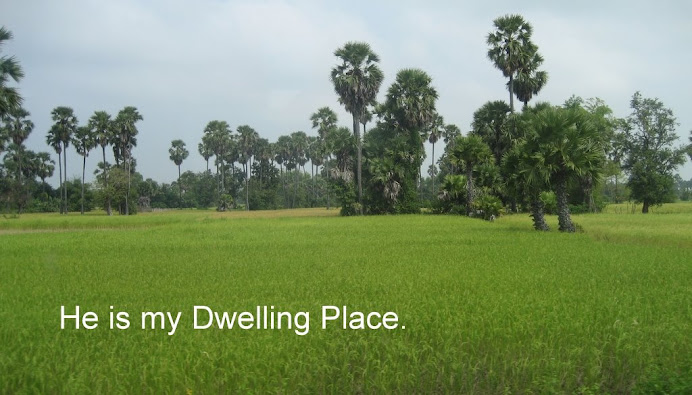 Green Rice Field