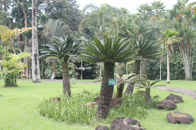 taman bunga nusantara cianjur