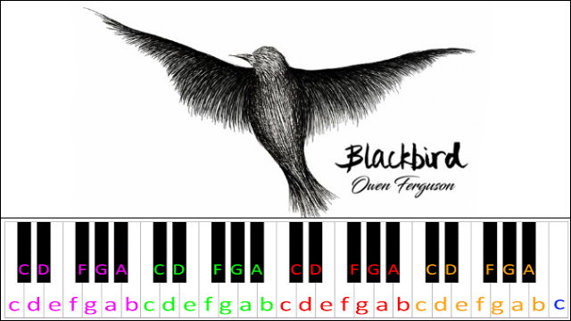 Blackbird by The Beatles (Easy Version) Piano / Keyboard Easy Letter Notes for Beginners