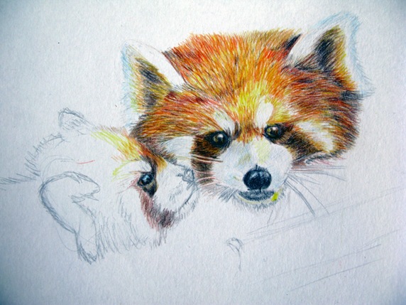 201101006