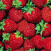 Strawberries as Cancer Drug