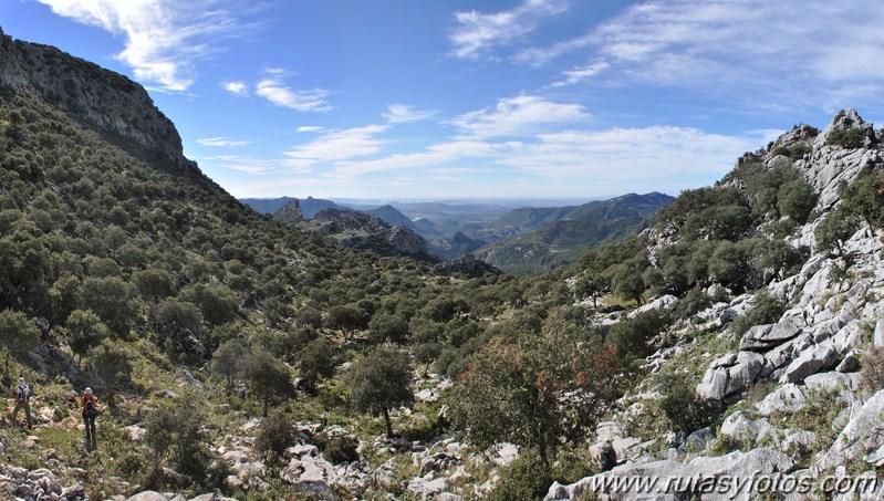 Benaocaz-El Hoyo-Jauletas-Puerto de Don Fernando