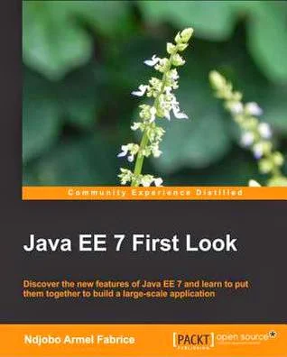 Java EE 7 First Look