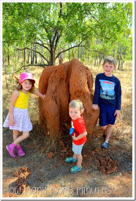 Aboriginal Rock Art at Split Rock | How Many More Minutes? Aboriginal Rock Art at Split Rock | How Many More Minutes?