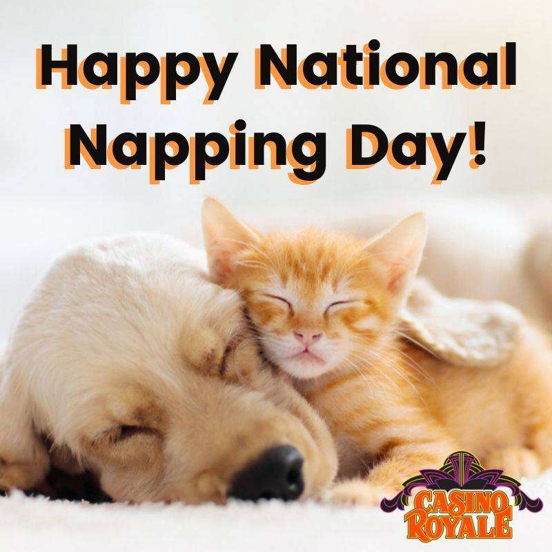 National Napping Day Wishes Sweet Images