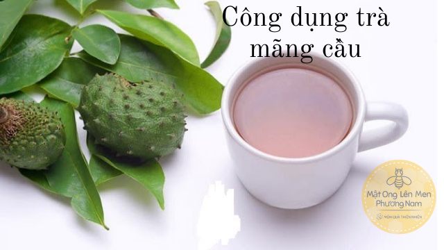 cách làm trà mãng cầu