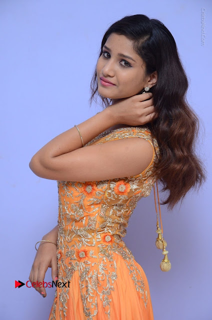 Telugu Actress Aarti Stills in Long Dress at Plus One ( 1) Audio Launch  0012.jpg