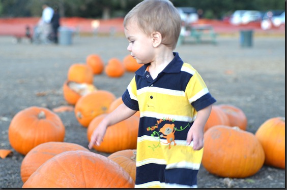 Fall2011 006