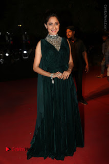 Actress Pragya Jaiswal Stills in Green Long Dress at Gemini TV Puraskaralu 2016 Event  0105.JPG