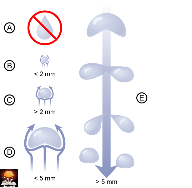 قطرة+المطر+www.thaqafnafsak.com ثقف نفسك بهذه المعلومات السريعة