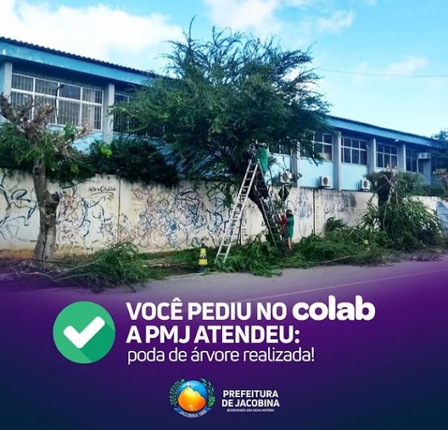 COLAB faça sua Solicitação e Prefeitura de  Jacobina vai lhe atender a sua Demanda  do que há de mais moderno e prático na gestão pública! 