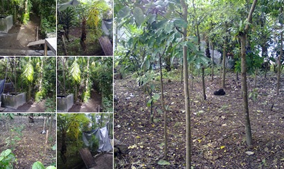 View album
