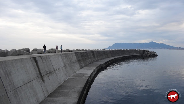 Le port de Hakodate