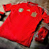 new Spain kit for FIFA World Cup 2014