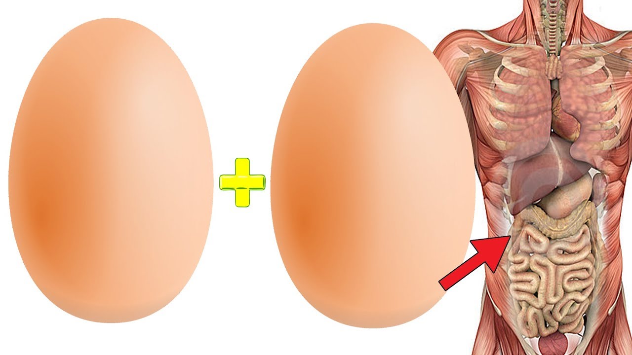 Start Eating Two Eggs Per Day And These Nine Changes Will Happen To Your Body