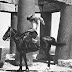 Explore the life and legacy of Gertrude Bell