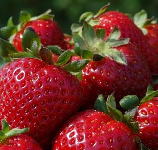 Strawberry ~ Rubus Berry Plants