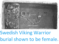 http://sciencythoughts.blogspot.co.uk/2017/09/swedish-viking-warrior-burrial-shown-to.html