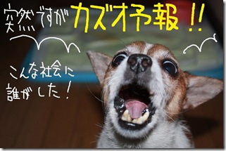 今日カズ０９１２２６　１