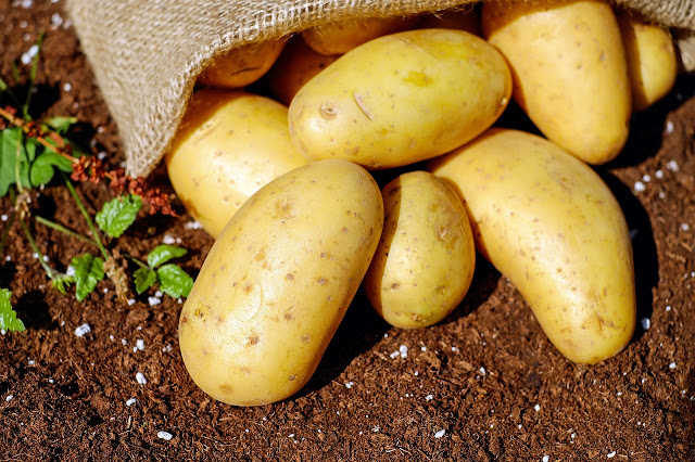 Uttar Pradesh's Potatoes Make Their Debut in the US