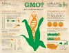 IS GENETICALLY MODIFIED ORGANISM CHANGE THE FUTURE OF AGRICULTURE?