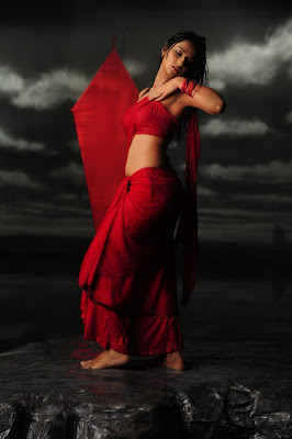 Isha Chawla Hot Wet in Red Saree Photos