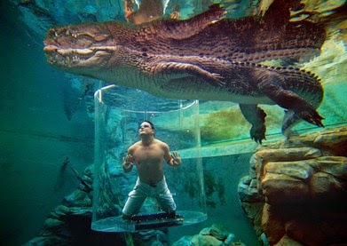 crocosaurus cove aus