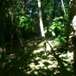 View album