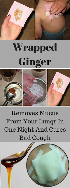 Wrapped Ginger – Removes Mucus From The Lungs And Treats Bad Cough