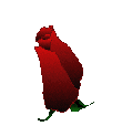 1349_animado