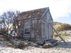 Provincelands Dune Shack