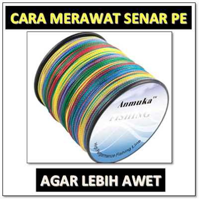 senar pancing, senar PE, senar PE kuat, senar PE awet, cara merawat senar PE