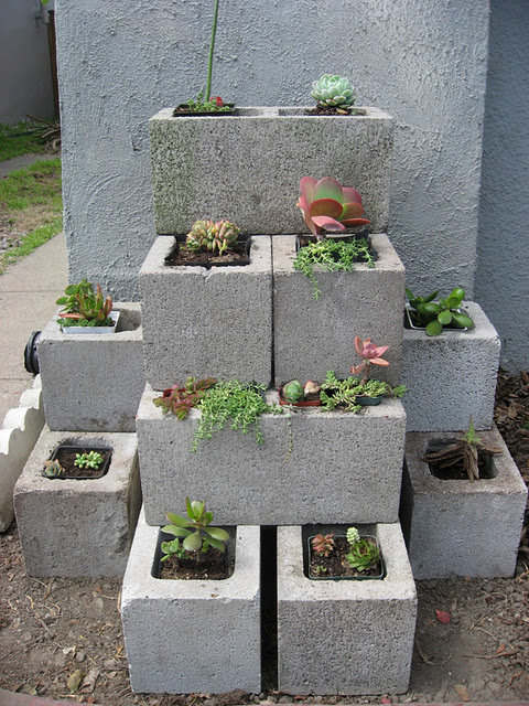 Cinder Block Garden