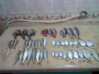 مواسم صيد سمك البحر المتوسط