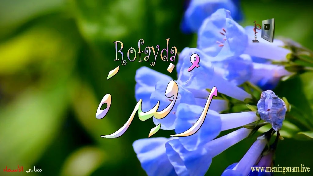 معنى اسم رفيدة, وصقات حاملة, هذا الاسم, Rofayda,