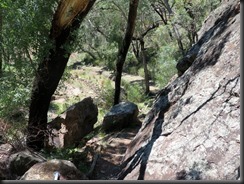 171107 087 Warrumbungles Wambelong Nature Trail