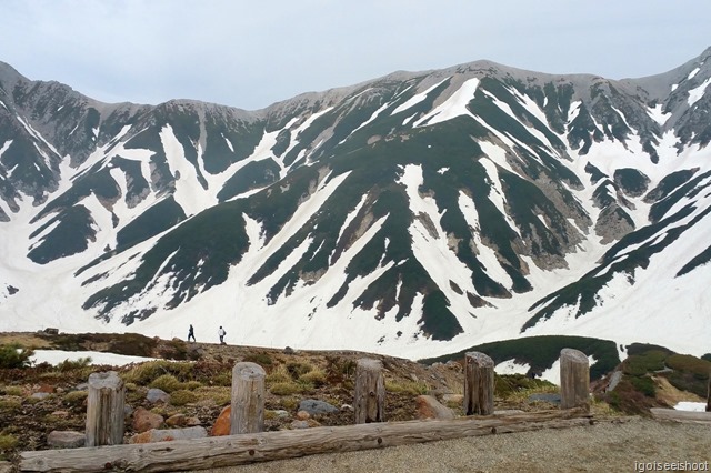 Tateyama Alpine Route in late May