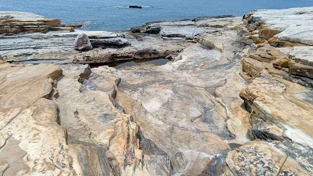 千畳敷 白浜 和歌山