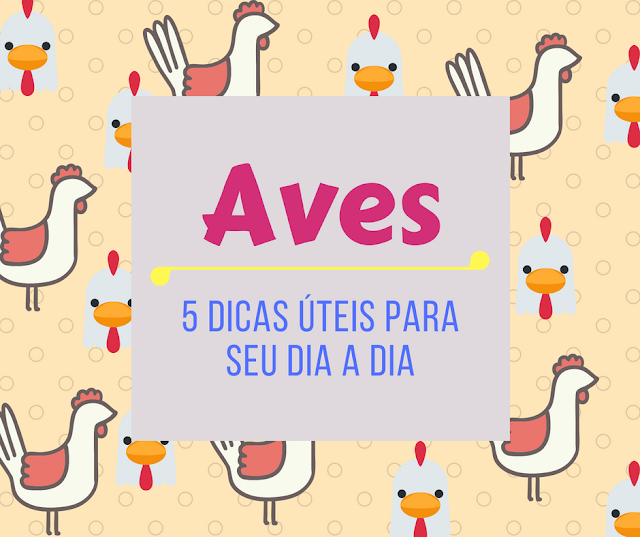 5 Dicas - Aves