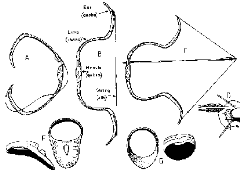 X9816425-6 X9816425-6