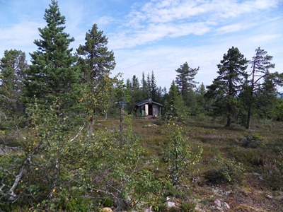 SDC13655